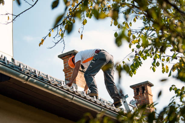 Best Chimney Flashing Repair  in Anahuac, TX